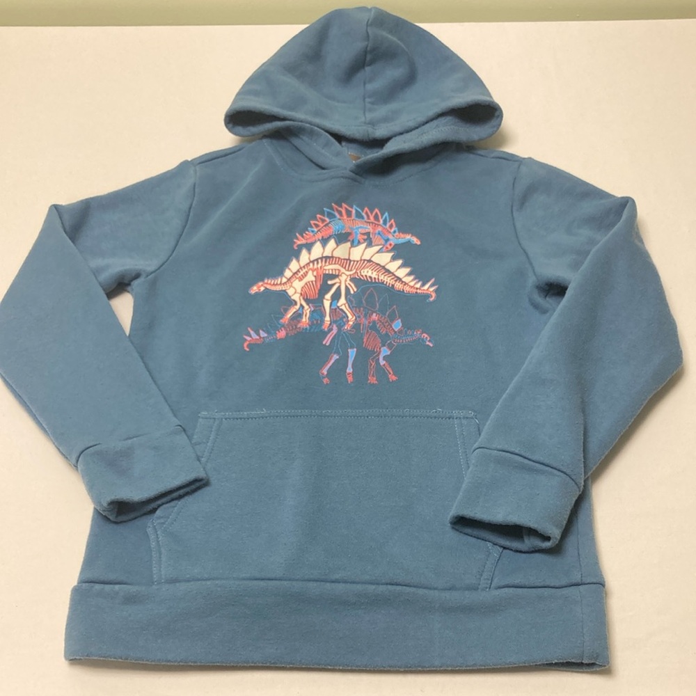 Blue & Pink Dinosaur Graphic Hoodie